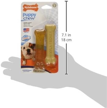 Nylabone Puppy Chew Teething Bone & Original Bone Dog Chew Toys, 2 Count - Image 3