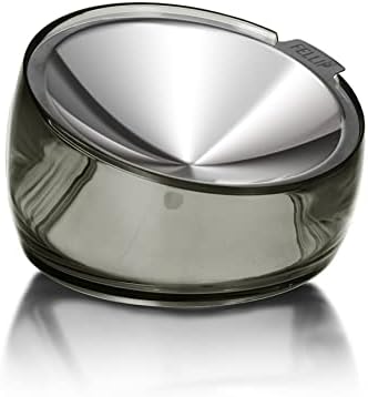 Felli Oblik Elevated Cat Bowl Removable Stainless Steel Wide Dish for Dry Wet Food Feeding & Dishwasher Clean, Slanted Whisker Fatigue Friendly Metal Plate (Smoky, 0.5 Cups Shallow Dish) by Felli