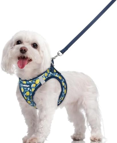 rabbitgoo Dog Harness Medium Sized and Leash Set, Step-in Puppy Pet Vest by rabbitgoo