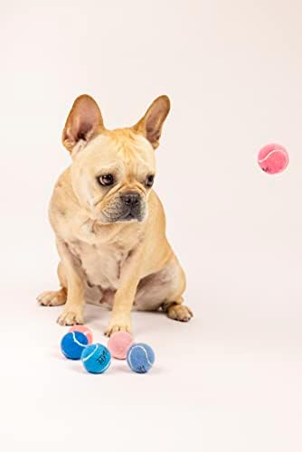 Midlee Mini 1.5" Squeaky Dog Tennis Balls- Pink- Set of 6 - Image 4