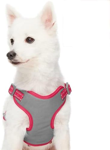 Blueberry Pet Pastel Colored Reflective Dog Harness with Seatbelt Clip – Adjustable No-Pull Pet Vest for Walking and Car Safety, Medium Size in Very Berry - Image 2