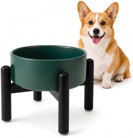 Raised Ceramic Dog Bowl Set with Stand, 2 Cups Elevated Dog Food Stand by PTOBER