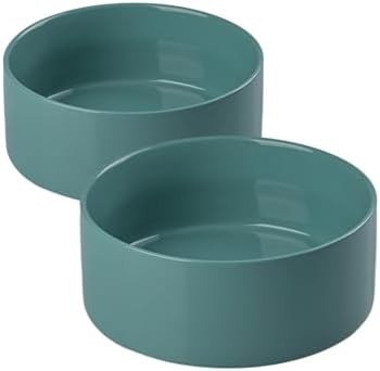 SPUNKYJUNKY 28.7OZ Ceramic Dog and Cat Bowl, Modern Cute Weighted Food Water Bowl for Replacement Light Green (2 Pack) by SPUNKYJUNKY