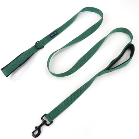 Wagtime Club Heavy Duty Double Handle Dog Leash for Large Medium Small Dogs by Waggin+Tails
