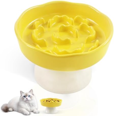 Raised Slow Feeder Cat Bowl for Cats & Small Dogs, 6 Inch by Unknown