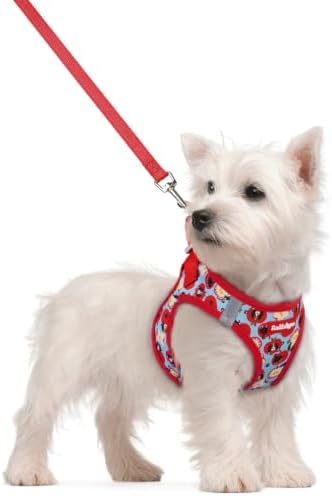 rabbitgoo Dog Harness Small Sized and Leash Set, Step-in Puppy Pet Vest by rabbitgoo