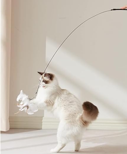 Cat Toy Wand Interactive Toys for Indoor Cat 6 in 1 Natural Bird Feather Ball Toys Pet Dancing Playing Kitten Cat Having Fun Exerciser Toy 3 Wands and 3 Assorted Teaser Refills