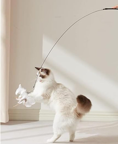 Cat Toy Wand Interactive Toys for Indoor Cat 6 in 1 Natural Bird Feather Ball Toys Pet Dancing Playing Kitten Cat Having Fun Exerciser Toy 3 Wands and 3 Assorted Teaser Refills