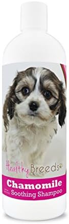 Healthy Breeds Cavachon Chamomile Soothing Dog Shampoo 8 oz by HealthyBreeds