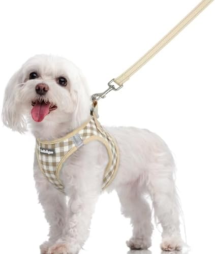 rabbitgoo Dog Harness Medium Sized and Leash Set, Step-in Puppy Pet Vest by rabbitgoo