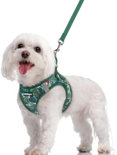rabbitgoo Dog Harness Medium Sized and Leash Set, Step-in Puppy Pet Vest by rabbitgoo
