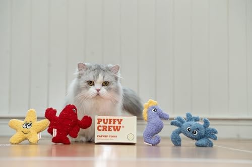 4 Pack Interactive Catnip Cat Plush Toy, Ocean Theme Set, 5'', for All Breed Size Cats (4 in 1) - Image 5