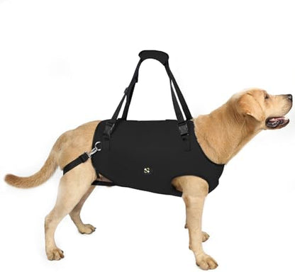 Coodeo Dog Lift Harness, Pet Support & Rehabilitation Sling Lift Adjustable Padded Breathable Straps for Old, Disabled, Joint Injuries, Arthritis, Loss of Stability Dogs Walk (Black, L) by Coodeo