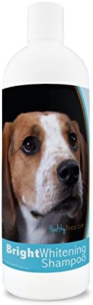 Healthy Breeds American English Coonhound Bright Whitening Shampoo - pH Balanced - Enhance Color & Shine While Moisturizing & Conditioning - Pina Colada Scent - 12 oz by HealthyBreeds