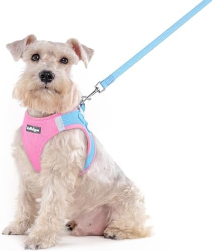 rabbitgoo Dog Harness Medium Sized and Leash Set, Step-in Puppy Pet Vest by rabbitgoo