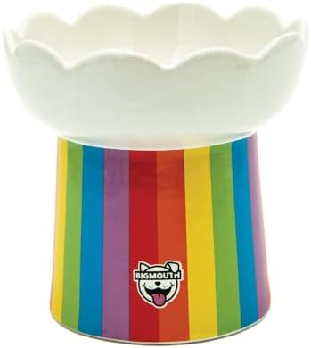 Rainbow Elevated Cat Bowl - Raised Cat Bowl - Lifted Pet Food, Water - Ceramic Feeder - Feeding Bowls for Small Dog by BigMouthInc