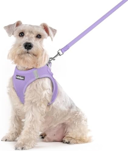 rabbitgoo Dog Harness Medium Sized and Leash Set, Step-in Puppy Pet Vest by rabbitgoo