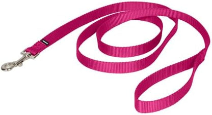 PetSafe Nylon Dog Leash - Strong, Durable, Traditional Style Leash with Easy to Use Bolt Snap - 3/4 in. x 6 ft., Deep Purple by PetSafe