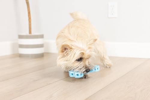 Chuckit! Holee Roller Dog Treat Puzzle Bone, Small, Blue – Interactive Treat & Chew Puzzle Toy for Dogs Up to 20 lb – Durable Rubber Bone‑Shaped Fetch Toy for Mental Stimulation – Pack of 1 - Image 3