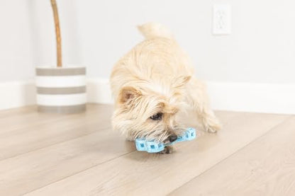Chuckit! Holee Roller Dog Treat Puzzle Bone, Small, Blue – Interactive Treat & Chew Puzzle Toy for Dogs Up to 20 lb – Durable Rubber Bone‑Shaped Fetch Toy for Mental Stimulation – Pack of 1 - Image 3