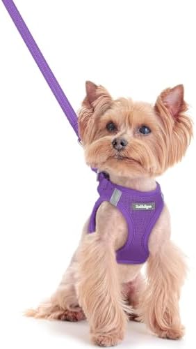 rabbitgoo Dog Harness Small Sized and Leash Set, Step-in Puppy Pet Vest by rabbitgoo