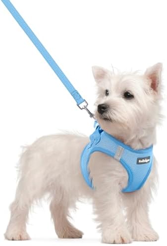 rabbitgoo Dog Harness Small Sized and Leash Set, Step-in Puppy Pet Vest by rabbitgoo