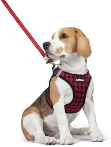rabbitgoo Dog Harness Medium Sized and Leash Set, Step-in Puppy Pet Vest by rabbitgoo