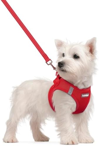rabbitgoo Dog Harness Small Sized and Leash Set, Step-in Puppy Pet Vest by rabbitgoo