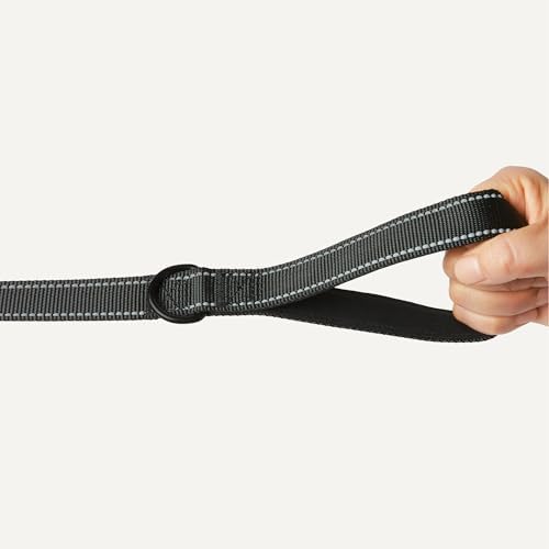 Amazon Basics Dog Leash, 6ft with 2 Comfortable Dual Padded Handles for Traffic Control, Highly Reflective Leashes for Large & Medium Dogs, Night Safety, Easy Snap Hook, Black - Image 3