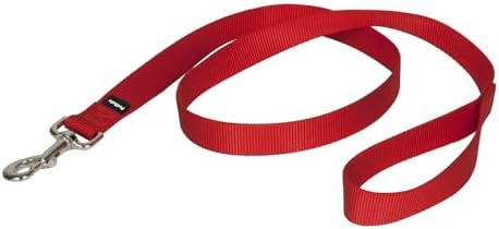 PetSafe Nylon Dog Leash - Strong, Durable, Traditional Style Leash with Easy to Use Bolt Snap - 1 in. x 4 ft., Red by PetSafe