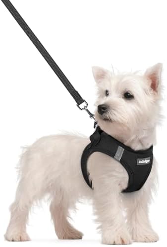rabbitgoo Dog Harness Small Sized and Leash Set, Step-in Puppy Pet Vest by rabbitgoo