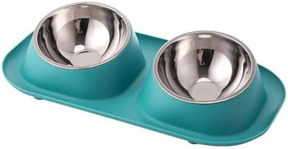 Raised Cat Bowl, No Spill Stainless Steel Elevated Food Bowls Mint by Adecadeoftrustedservice