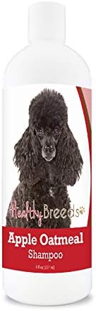 Healthy Breeds Poodle Apple Oatmeal Shampoo 8 oz by HealthyBreeds