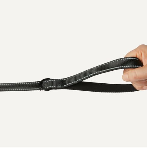Amazon Basics Dog Leash, 4ft with 2 Comfortable Dual Padded Handles for Traffic Control, Highly Reflective Leashes for Large & Medium Dogs, Night Safety, Easy Snap Hook, Black - Image 3