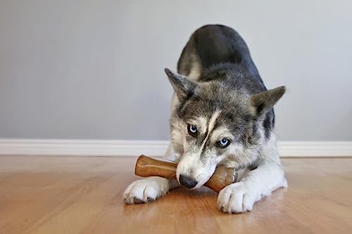 Nylabone Puppy Chew Teething Knuckle Bone Dog Chew Toy, Chicken Flavor - Image 2
