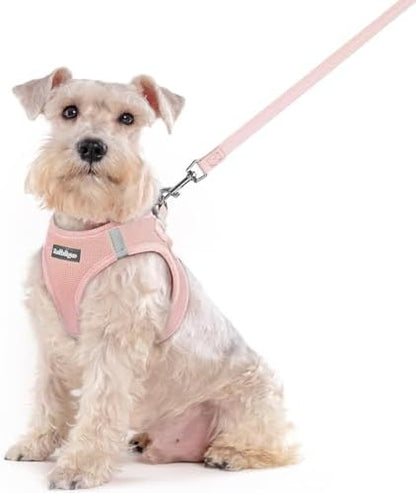 rabbitgoo Dog Harness Medium Sized and Leash Set, Step-in Puppy Pet Vest by rabbitgoo