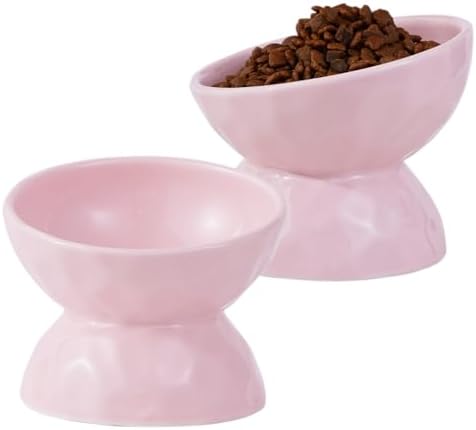 5 Inch Tilted Raised Cat Bowls, Ceramic Elevated Pet Food Water Bowl Set by OMAYKEY