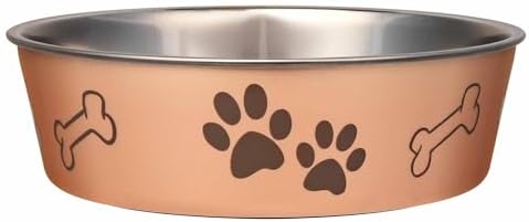 Loving Pets Bella Dog Bowls- Stainless Steel Dog & Cat Bowls - Spill Proof Dog Food Bowl, Cat Bowl, Puppy Essentials & Pet Supplies Great for Home & Travel (Medium 20-35 lbs, Champagne) by Loving+Pets