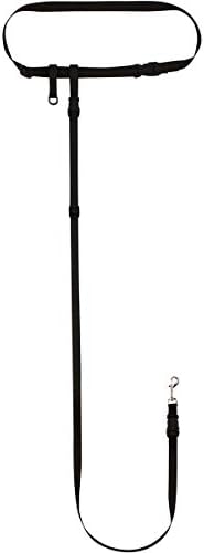 The Buddy System - Hands Free Dog Leash - Small Dog, Large Belt, Black by TheBuddySystem