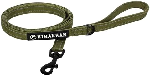 Reflective 6 FT Dog Leash, Premium Traditional Style Puppy Leash with Easy to Use Collar Hook for Small, Medium, and Large Breed Puppies (Green, 3/4 in x 6 ft) by Unknown