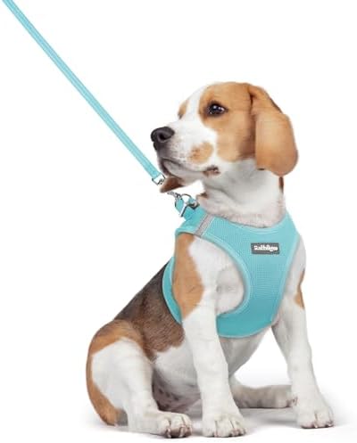 rabbitgoo Dog Harness Medium Sized and Leash Set, Step-in Puppy Pet Vest by rabbitgoo