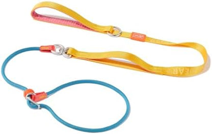 HowGo Slip Lead Dog Leash, 360°Swivel Anti-Tangle (Multicolor 5.5FT) by HOWGO