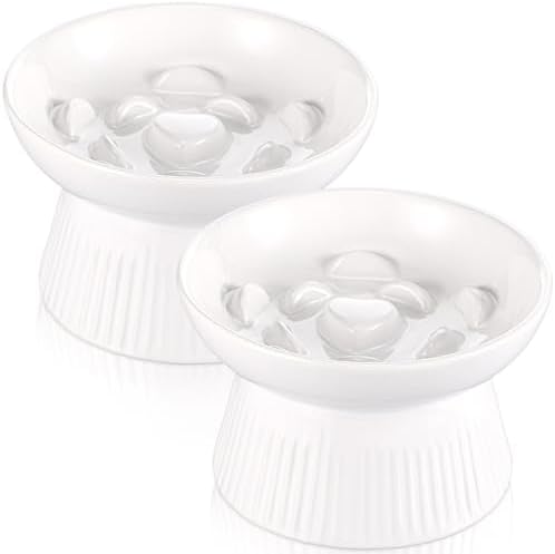 Layhit 2 Pack Raised Slow Feeder Cat Bowls Ceramic Elevated Cat Food Bowls Anti Vomiting Slow Feeder for Dog and Kitten for Dry and Wet Food(White) by ShungLan