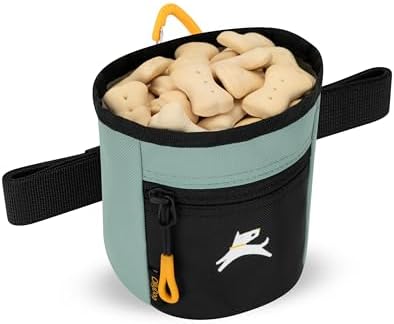 OllyDog, Goodie Treat Bag, Dog Treat Training Pouch | Magnetic Closure | 3 Ways to Wear | Hands-Free Waist Belt | Water-Resistant Recycled Vegan Fabric (Surf) - Image 5