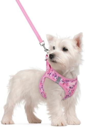 rabbitgoo Dog Harness Small Sized and Leash Set, Step-in Puppy Pet Vest by rabbitgoo