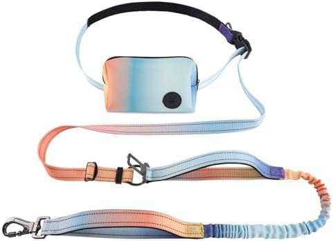 Roses&Poetry Hands Free Dog Leash with Zipper Pouch, 6-9ft Bungee Waist Leash for Medium Large Dogs Walking, Running Lead with Dual Padded Handles Car Safety Buckle for Training Jogging by RosesPoetry