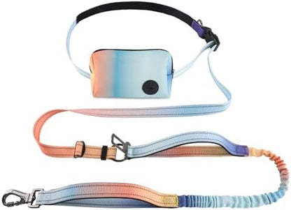 Roses&Poetry Hands Free Dog Leash with Zipper Pouch, 6-9ft Bungee Waist Leash for Medium Large Dogs Walking, Running Lead with Dual Padded Handles Car Safety Buckle for Training Jogging by RosesPoetry