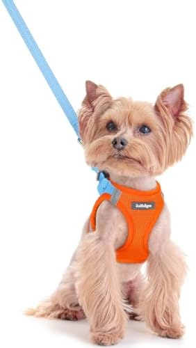 rabbitgoo Dog Harness Small Sized and Leash Set, Step-in Puppy Pet Vest by rabbitgoo
