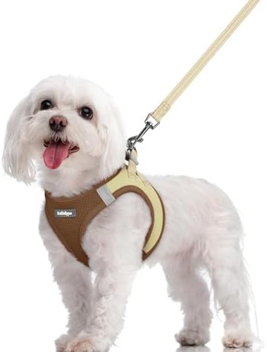 rabbitgoo Dog Harness Medium Sized and Leash Set, Step-in Puppy Pet Vest by rabbitgoo