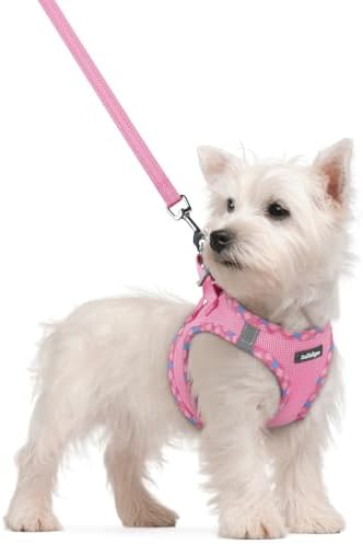 rabbitgoo Dog Harness Small Sized and Leash Set, Step-in Puppy Pet Vest by rabbitgoo
